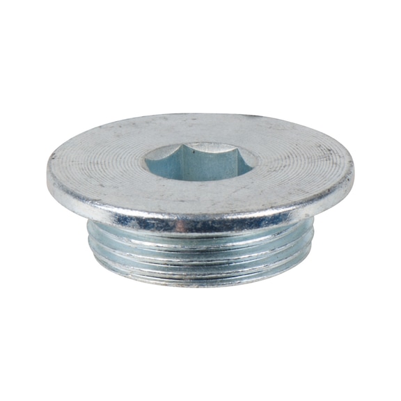 Screw for support plate 161.0365-R046P - Car jack - Screws