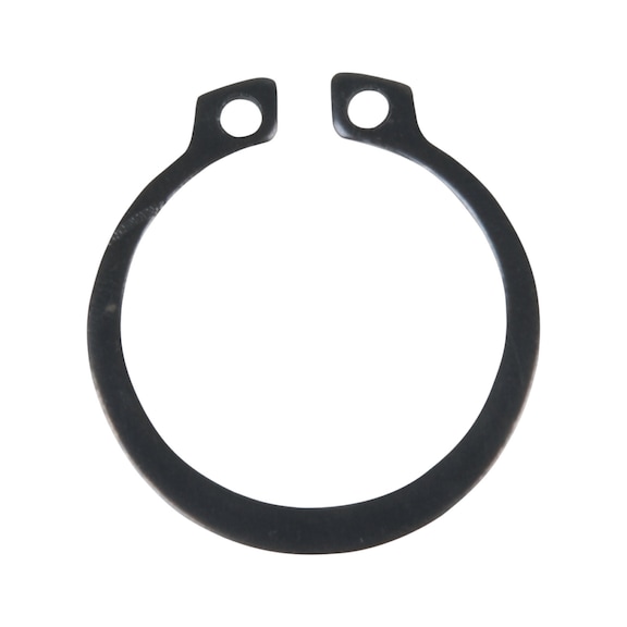 Retaining ring 161.0366-R020P - Retaining ring