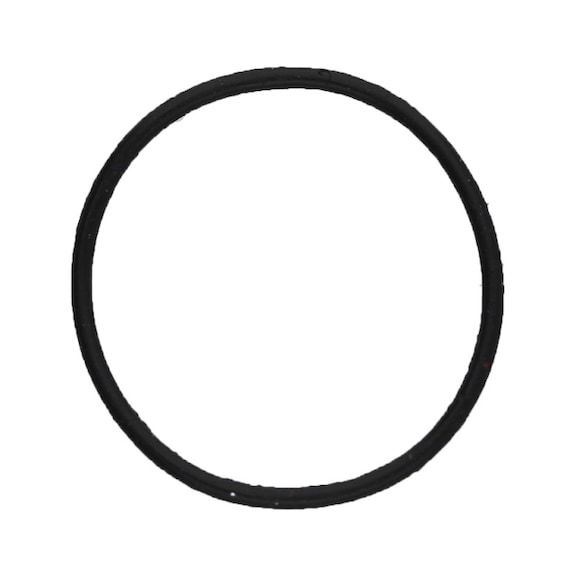 O-ring 515.1625-R012P - O-ring