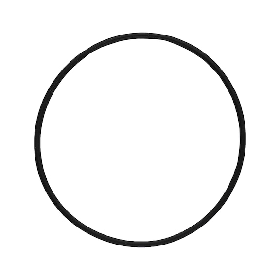 O-ring 515.1625-R014P - O-ring