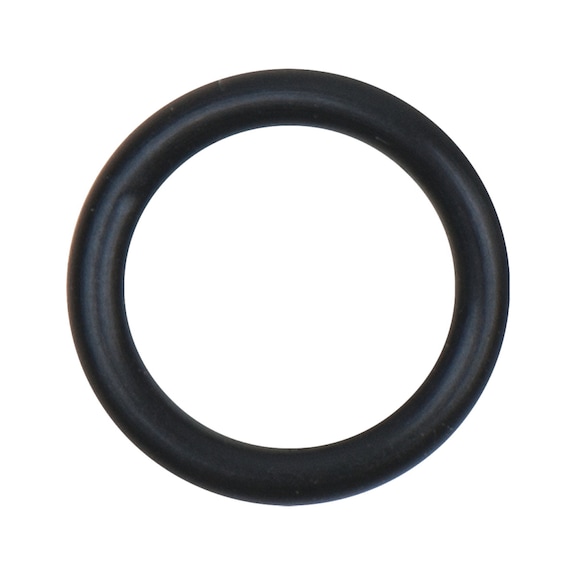 O-ring 515.3061-R002P - O-ring