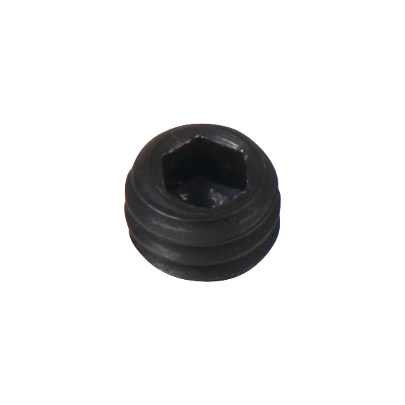 Grub screw for retaining ring - Screw, nut (other)