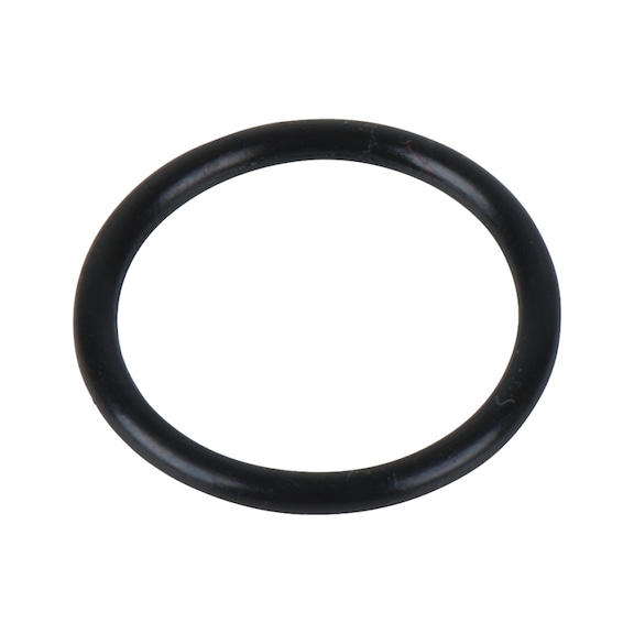O-ring 515.3250-R025P - O-ring