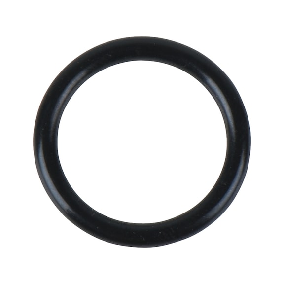 O-ring 515.3270-R002P - O-ring