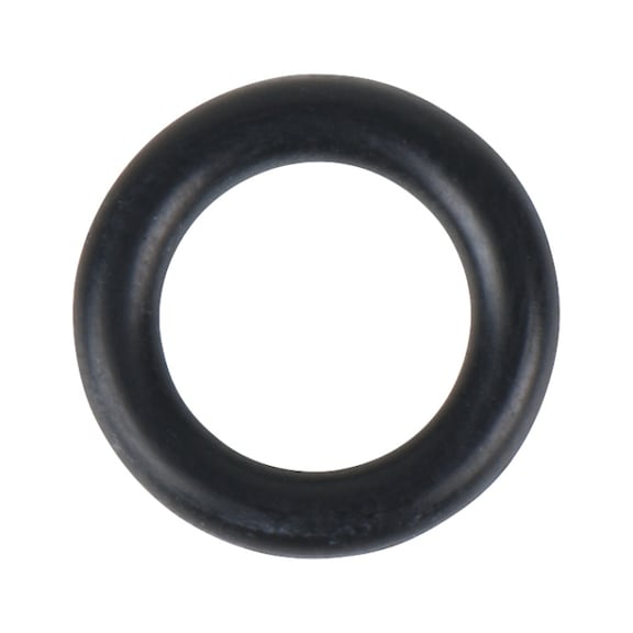O-ring for valve 515.3881-R002P - O-ring