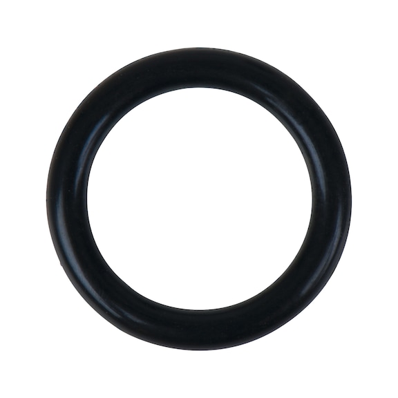 O-ring 515.5410-R019P - O-ring