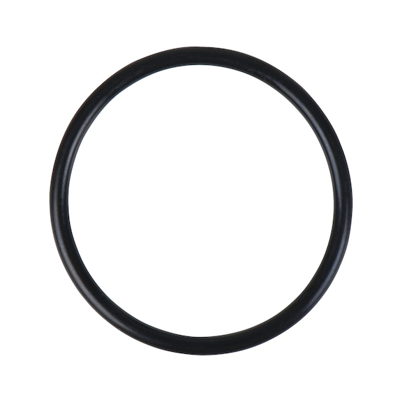 O-ring 515.5410-R029P - O-ring