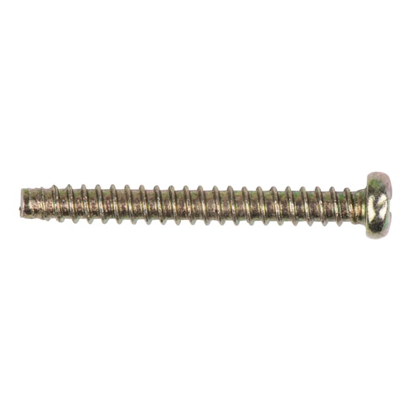 Screw 515.5431-R031P - Screw, nut (other)