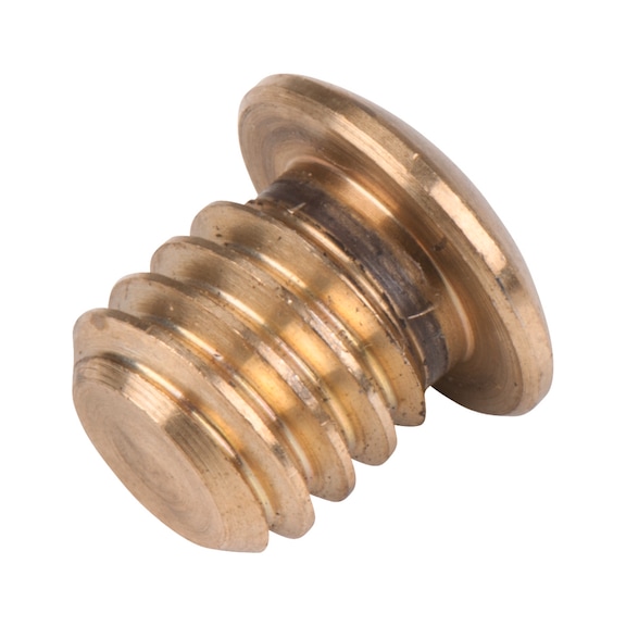 Oil plug - Screw, nut (other)