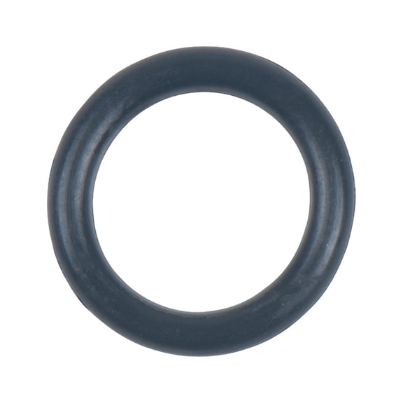 O-ring 515.5505-R006P - O-ring
