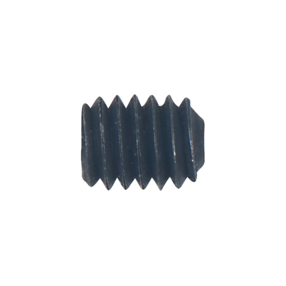 Adjusting screw 515.5550-R002P - Screw, nut (other)