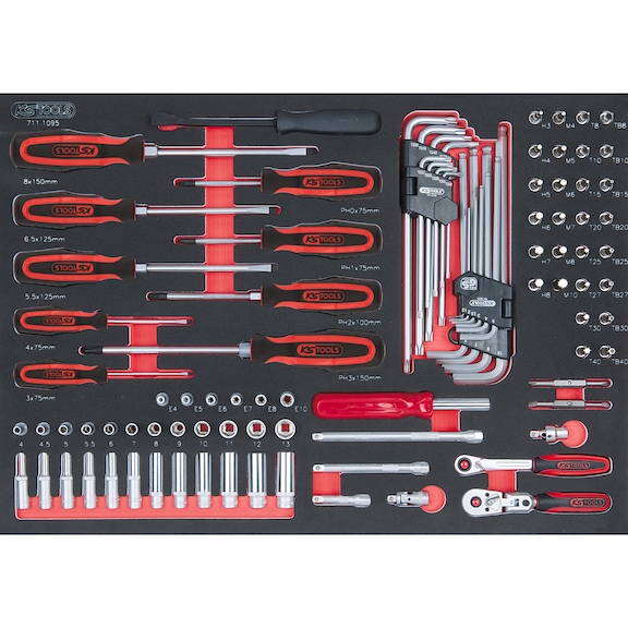 SCS 1/4 inch socket wrench set, 95 pieces in 1/1 system insert - Other socket wrenches