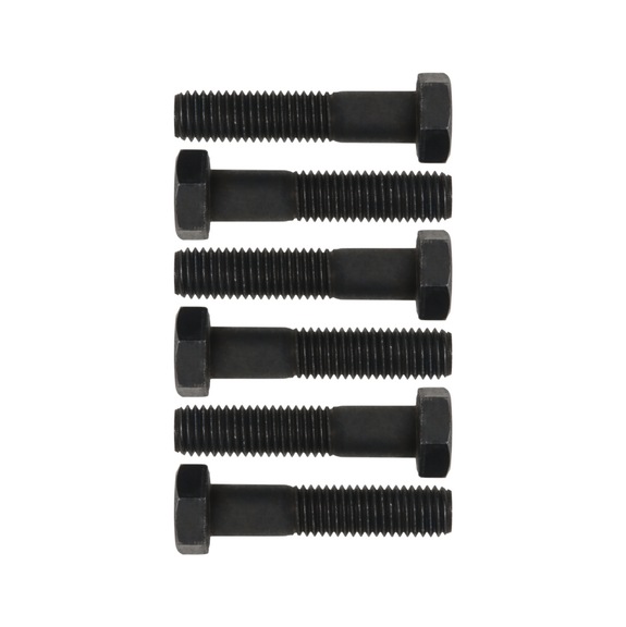 Screw set M12 x 1.75 mm, SW 19, L=55 mm, 6-piece - Screw, nut (other)