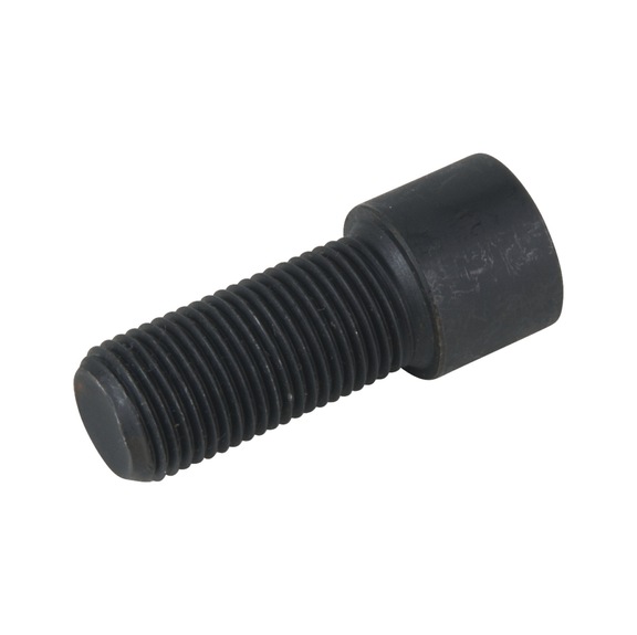 Hexagon socket screw M16 x 35 mm - Screw, nut (other)