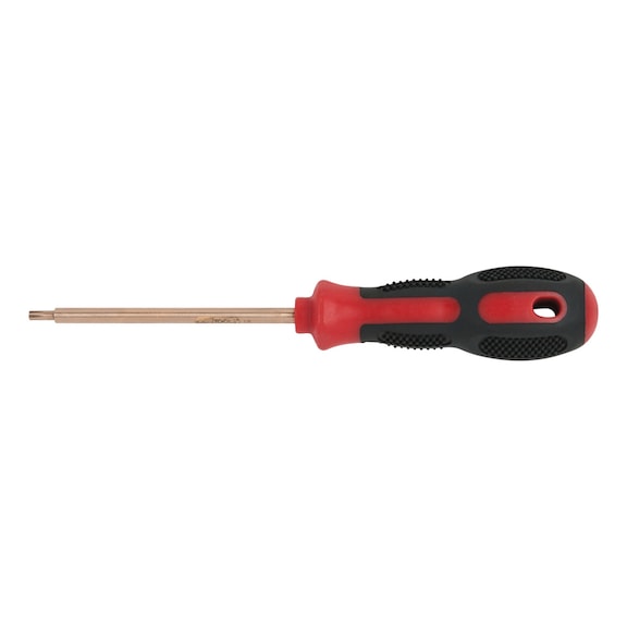 BERYLLIUMplus screwdriver TX T30 - BERYLLIUMplus screwdriver TX