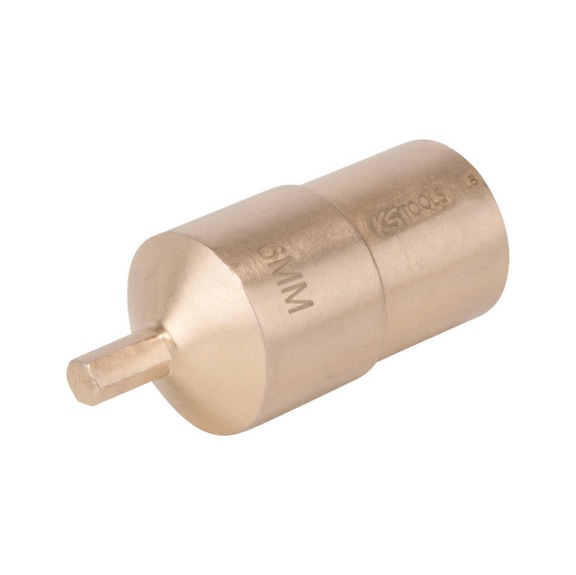 BRONZEplus hexagon socket bit socket 1/2 inch 12 mm - BRONZEplus bit socket