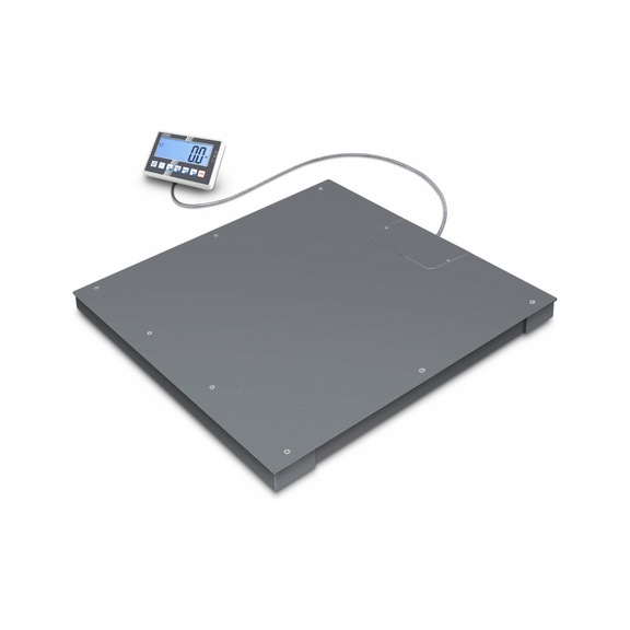 KERN floor scales BFC 600K-1SM Weighing capacity 600 kg Reading 0.2 kg - Floor scale BFC
