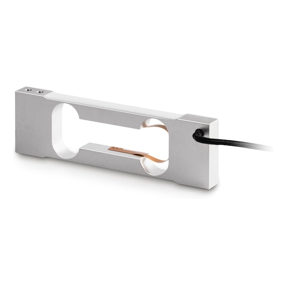 SAUTER Load cell CP P4