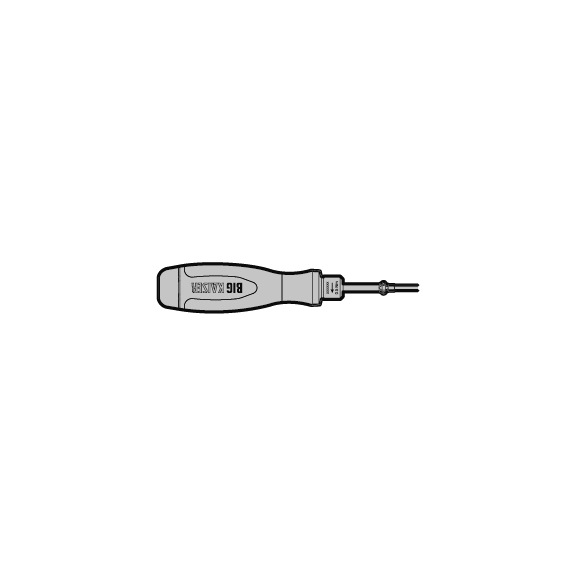 BIG DAISHOWA FS-10IP BIG DAISHOWA, - T-Torxschl&uuml;ssel Plus (IP)