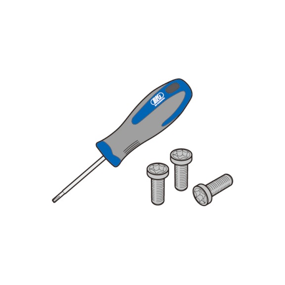 BIG DAISHOWA S5S-20IP BIG DAISHOWA, - Torx-Plus, Spannschrauben SETs mit Schl&uuml;ssel