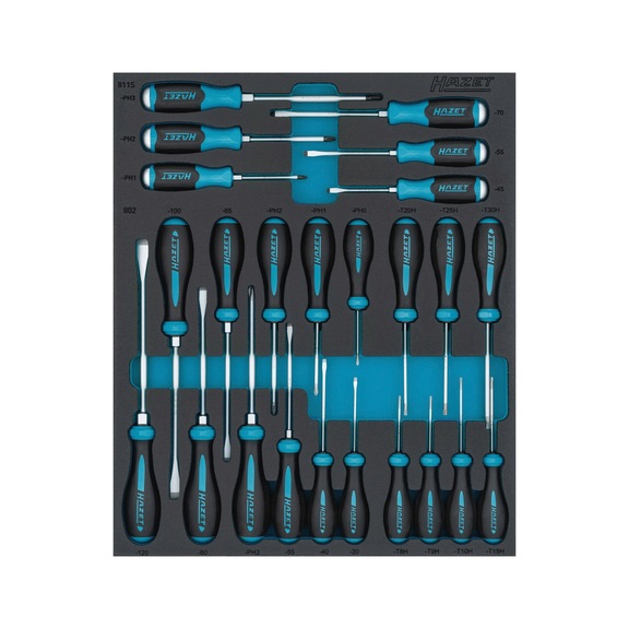 HAZET Screwdriver set 163D-7/24N, 24-piece - Tool assortment