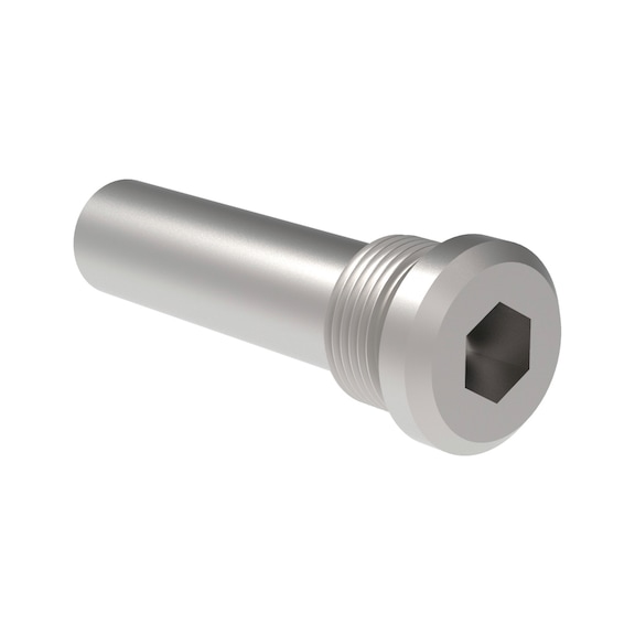 GESIPA End screw 1433983 - Nuts, bolts, washers