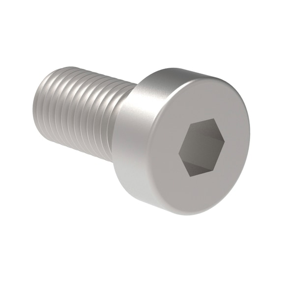 GESIPA Cylinder screw 1446085 - Nuts, bolts, washers