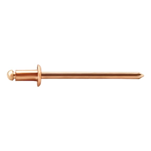 GESIPA Plumber's rivets, copper/bronze, flat round head, 3.2 x 6, pack of 500, 1538404 - Blind rivet