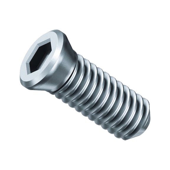 FEIN SX clamping screw PU 10 pcs 31350076000 - Milling cutters (parts)