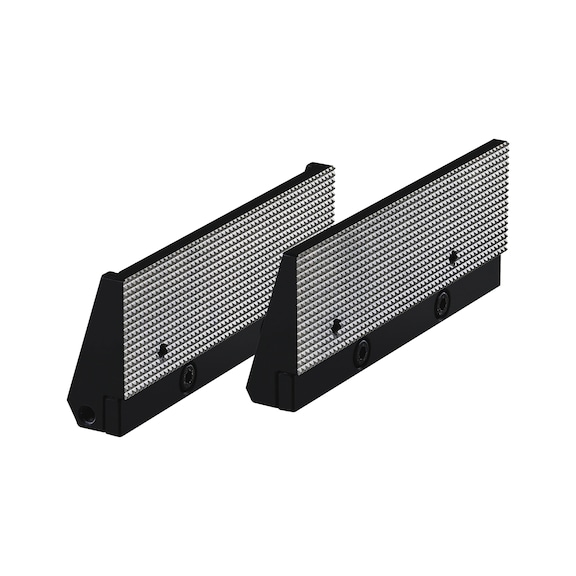 R&Ouml;HM Standard inserts, finely grooved NCSf, size 3, jaw width 135 - Vice (other)