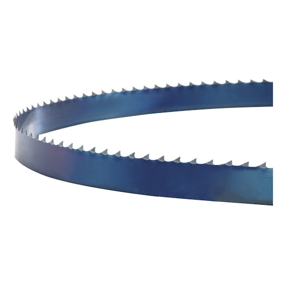 HOLZSTAR 5169325 HOLZSTAR, S&auml;geband 5020 x 25 x 0,8 mm 2 ZpZ - S&auml;geband