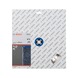 BOSCH Diamond cutting blade Standard for Stone 300x20,00/25,40x3,1x10mm 2608602602 - Diamond cutting disk - 2
