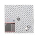 BOSCH Diamanttrennscheibe Standard Abrasive 400x20,00/25,40x3,2x10 mm 2608602622 - Diamant-Trennscheibe - 2