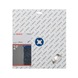 BOSCH Diamond cutting blade Standard for Stone 300x22,23x3,1x10 mm 2608602698 - Diamond cutting disk - 2