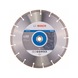 BOSCH Diamond cutting blade Standard for Stone 300x20,00/25,40x3,1x10mm 2608602602 - Diamond cutting disk - 1