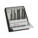 BOSCH 10-piece jigsaw blade set Wood Robust Line T-shank 2607010540 - Saw blade assortment - 1