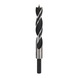 BOSCH Wood twist drill bit standard 16 x 100 x 160 mm 10 mm 2608596313 - Solid drill bits (non-detachable cutting edges) - 1