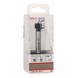BOSCH Artistic drill HM 15 x 90 mm 8 mm 2608597601 - Artistic drill bits - 2