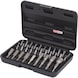 1/4 inch bit and screwdriver set, 31 pieces - Bit set - 1