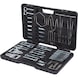 Radio/navigation system removal and installation kit, 52 pieces - Special automotive tools: Radio and navigation system - 1