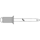 GESIPA Blindniete Alu/Stahl Senkkopf 5 x 10 Pack mit 500 St&uuml;ck 1433516 - Blindniet - 2