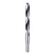 BOSCH Metal twist drill HSS PointTeQ reduced shank 14.5 mm 2608577307 - Solid drill bits (non-detachable cutting edges) - 1