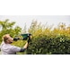 BOSCH Hedge trimmer AdvancedHedgeCut 65 06008C0801 - Hedge trimmer (electric) - 3