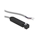 RIEGLER REED sensor 129738