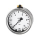 Pressure gauge in stainless steel version G 1/4 rear centred 101202