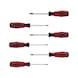 ERGOTORQUEplus screwdriver set, 6-piece, TX with hole - ERGOTORQUEplus Screwdriver Set - 1