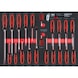 SCS screwdriver set, 29 pieces in 1/1 system insert - Screwdriver set - 1