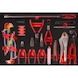 Pliers and L-key set in foam insert, 45 pieces - Pliers set - 1