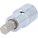 1/2 inch CHROMEplus bit socket hexagon socket, short, 9 mm - 1/2 inch CHROMEplus bit socket hexagon socket - 1