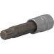 1/2 inch multi-tooth socket, 100 mm long, M14 - 1/2 inch multi-tooth bit socket - 1